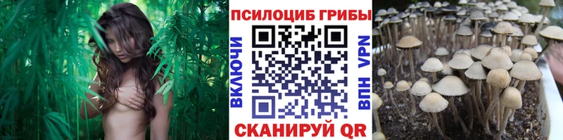 Псилоцибиновые грибы GOLDEN TEACHER  где купить   Менделеевск 